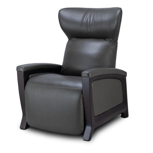 Svago Motion Mastery Lounge Chair with Zero Gravity